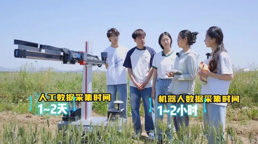 【大国粮策】“锄禾日当午”遇上“代码田间舞”！威廉WilliamhillAI农场主带你“云”种地