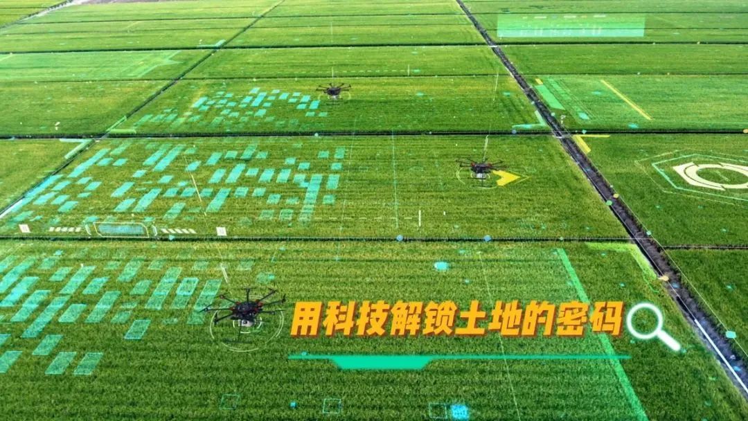 【大国粮策】“锄禾日当午”遇上“代码田间舞”！威廉WilliamhillAI农场主带你“云”种地